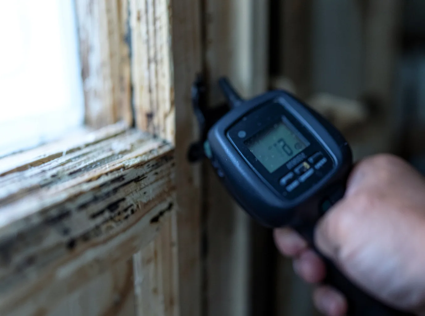 Moisture Inspection And Documentation in Lake Crystal, MN